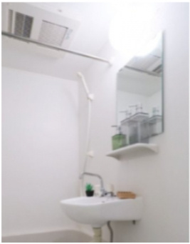 【洗面所】 | トライアングル蒲田 | 家具小物はイメージです