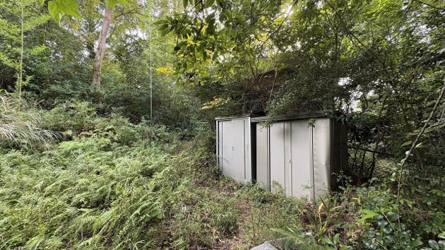 【庭】 | 伊東市荻　戸建