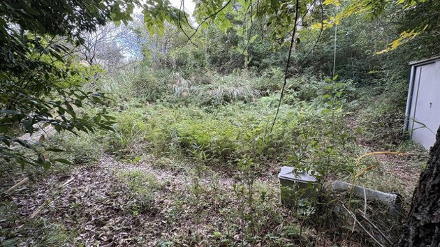 【庭】 | 伊東市荻　戸建