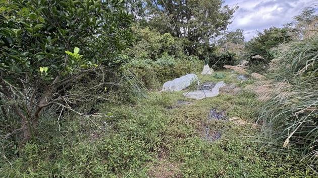 【庭】 | 伊東市荻　戸建