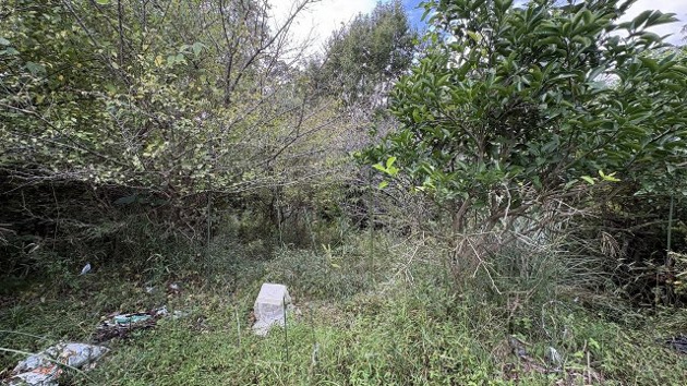 【庭】 | 伊東市荻　戸建