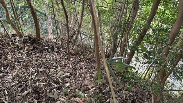 【周辺】 | 伊東市荻　戸建