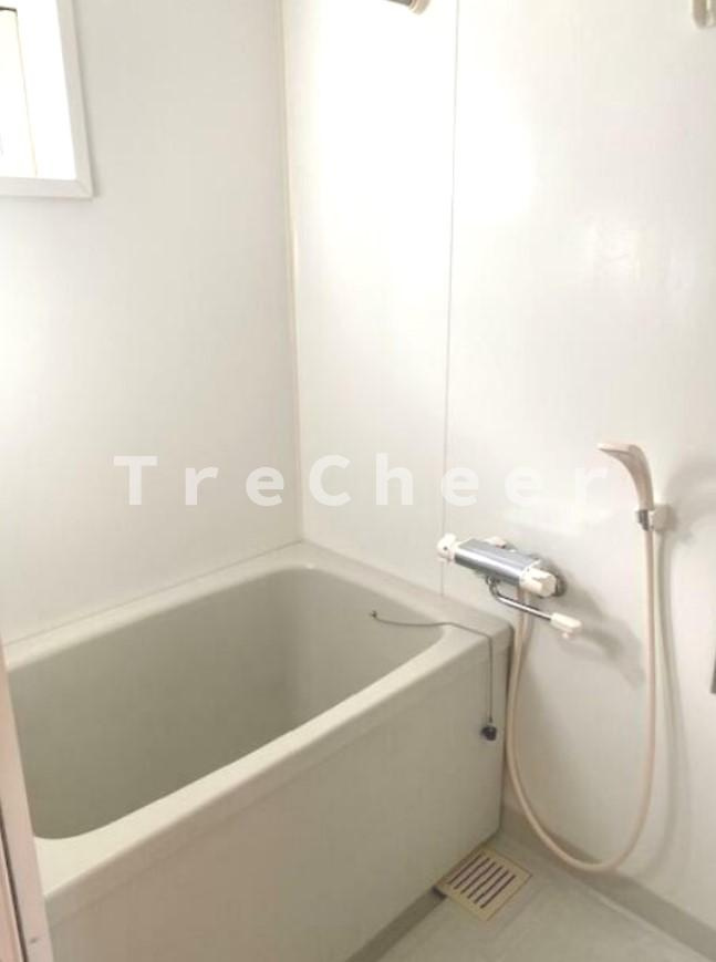 ディアコートAの浴室