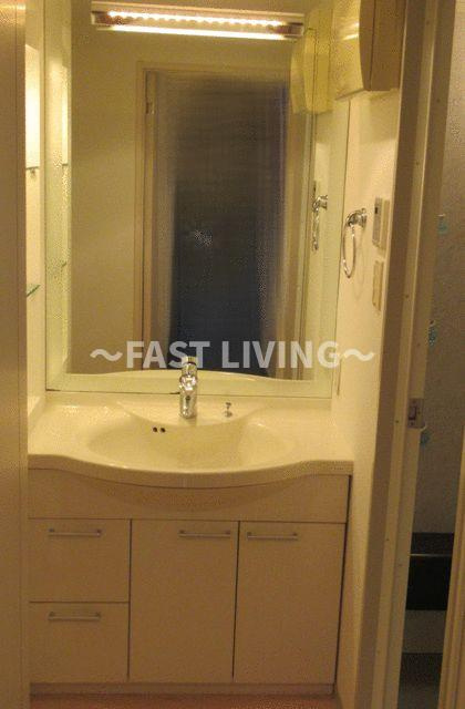 デュオ・スカーラ麹町の洗面所