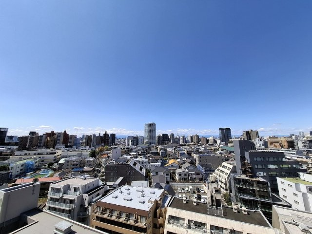 ハイネスロフティの展望