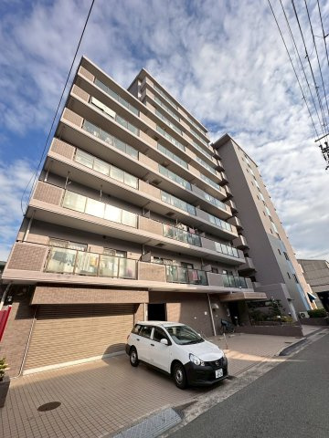 グレーシア大西