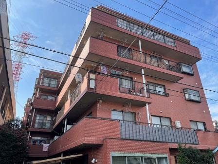 コーラルスターガーデン