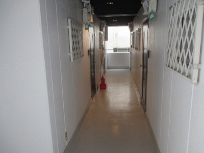 【その他】 | 豊新ハイツ | 廊下です