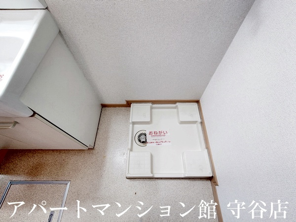 デスパシオのその他