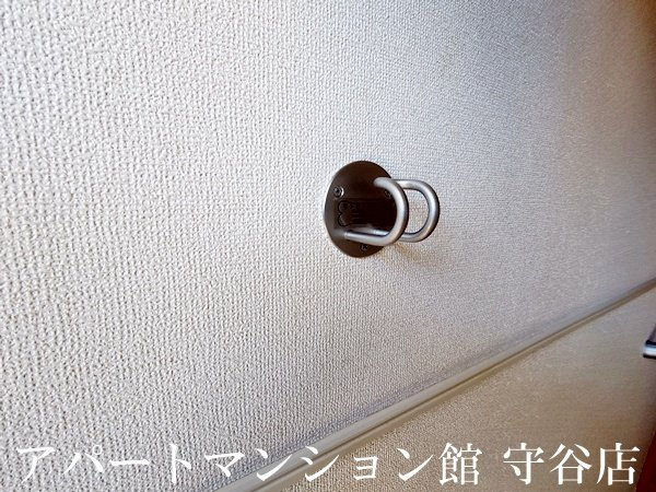 デスパシオのその他