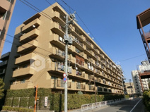 ジュネスの画像