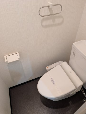 ウィステリア桜坂ヒルズのトイレ