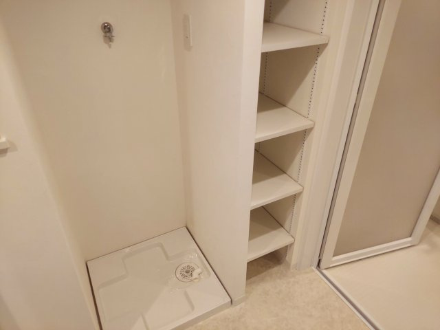 パークスクエア宝塚フォレストタワーの洗面所|洗濯機置場