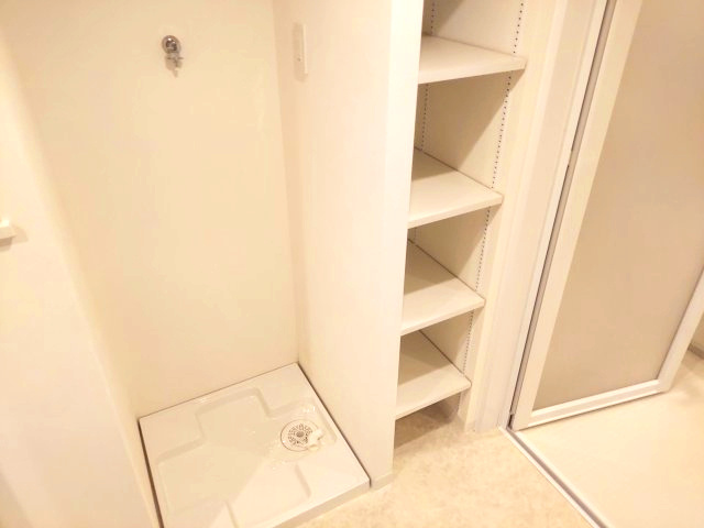 パークスクエア宝塚フォレストタワーの洗面所|洗濯機置場