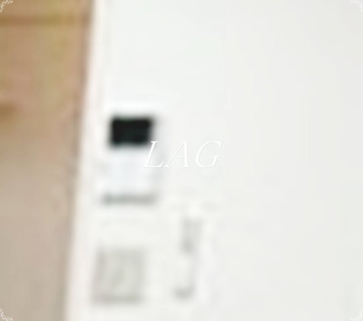 【セキュリティ】 | アイビーハイツ | モニター付きインターホンです。