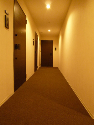 【その他共用部分】 | ル・リオン下丸子