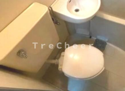 レモン武蔵関のトイレ