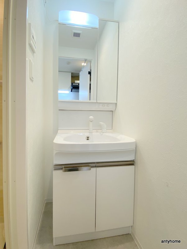 ウインズコート桜塚　仲介手数料無料の洗面所