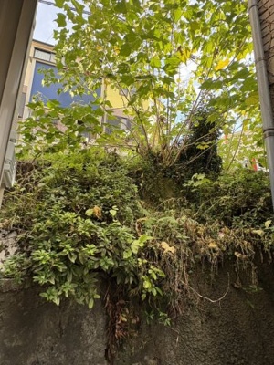 【展望】 | ユナイト白楽アンシャンテ