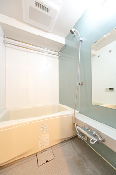 ＪＰ　ｎｏｉｅ　小石川富坂の浴室