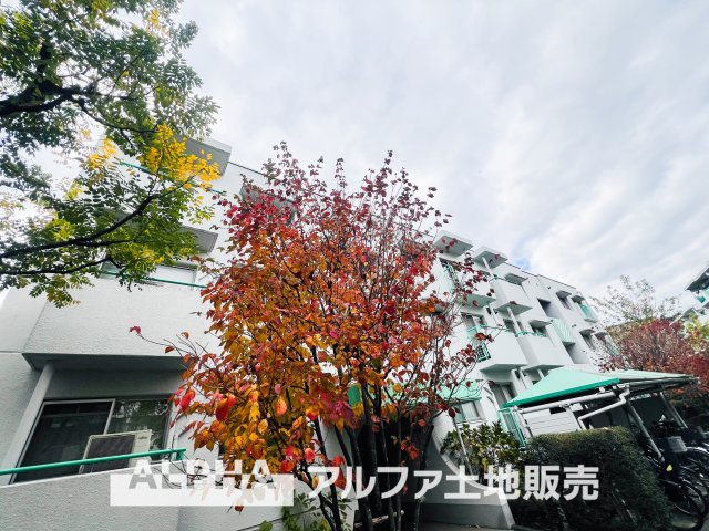 エステート永山の外観|【Green orchestra】
◆緑のオーケストラ◆窓の外を見渡すと風光明媚な緑の景色。移ろう季節に表情を変えるグリーンとそれに呼応して変化する外観。緑とシンパシーし鳴りやまないオーケストラの邸宅