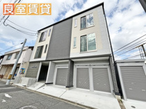 シェラトン桜の画像