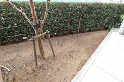 【庭】 | アルファタウン天王台 | テラス