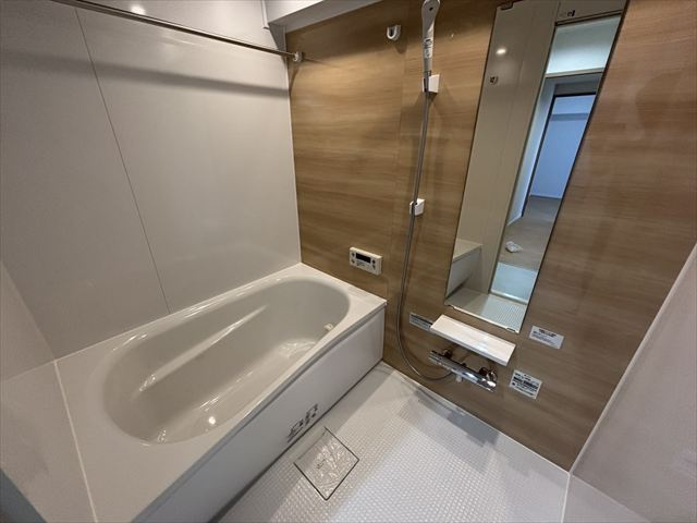 フェリス桃山の画像