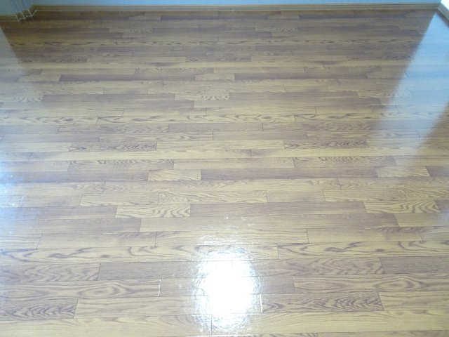 パストラル南条の洋室