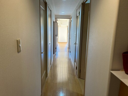 サーパス高須第３の玄関|玄関：玄関（原状回復工事後2025/11）     （2025年11月撮影）