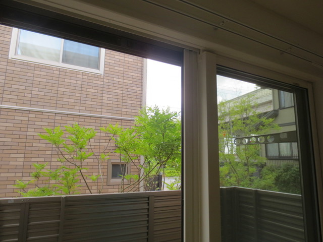 Ｓｔａｒ　Ｆｉｅｌｄの展望|★眺望★