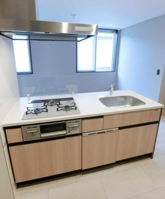 ルミークアン桜新町　敷金０礼金０　ペット可　リノベーションのキッチン