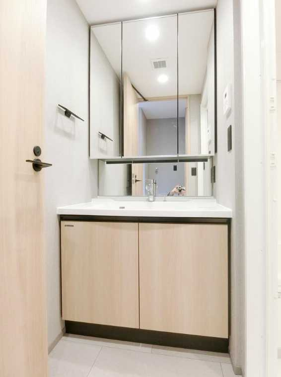 ルミークアン桜新町　敷金０礼金０　ペット可　リノベーションの洗面所