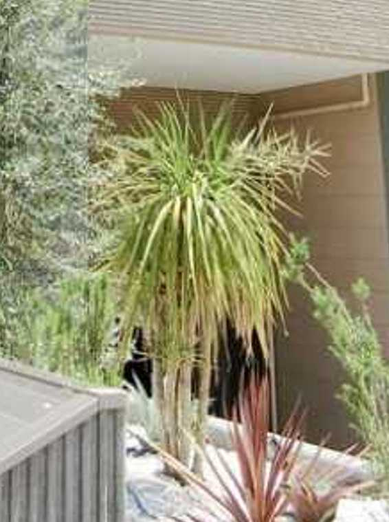 ルミークアン桜新町　敷金０礼金０　ペット可　リノベーションのエントランス