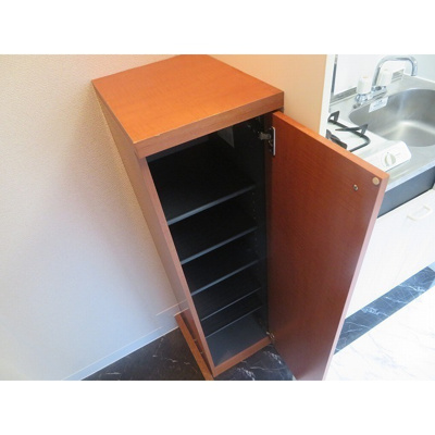 【収納】 | ダイヤモンドレジデンス西日暮里第三 | 写真は他部屋