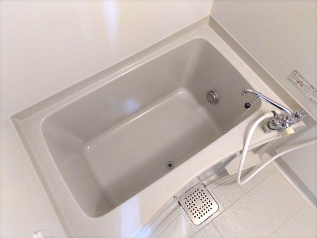 バス