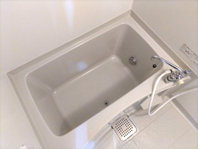 バス
