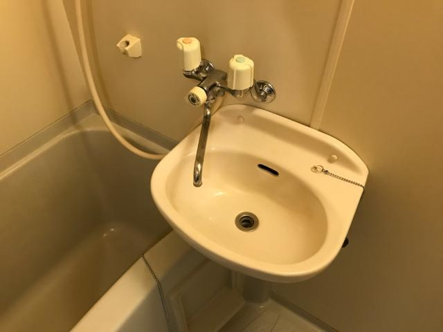 サンルームあじさいの洗面所|バス