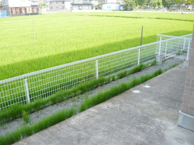 【その他】 | カントリー