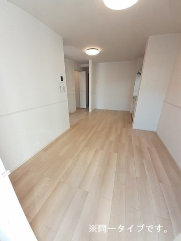 プリマステラのその他