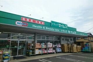 【周辺】 | リアンヴィラージュＣ棟 | ドラッグセイムスまで1100m