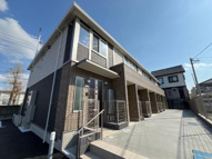 メイプルの画像