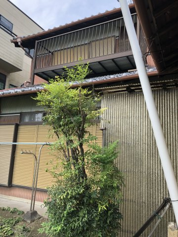 中古住宅　江吉良町の庭