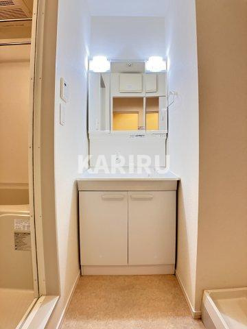 Agio大宮の洗面所