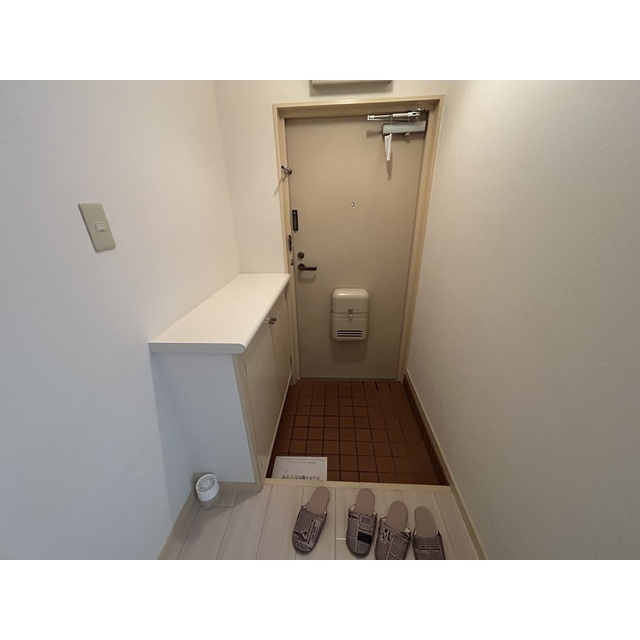 リエス大宮三橋の玄関|落ち着いた玄関です