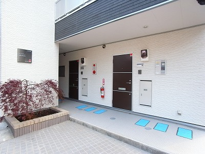 リブリ・アイレクスのその他