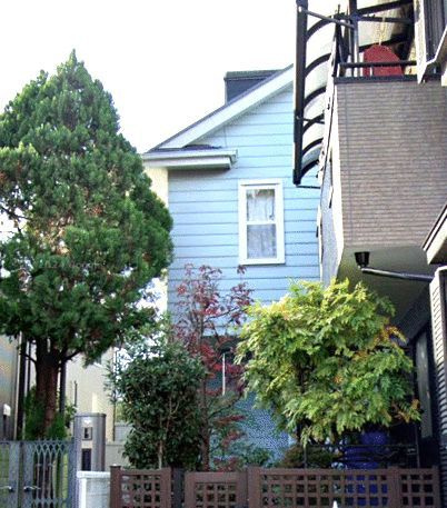 深大寺東町８丁目貸家