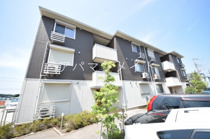 ロイヤルクレストの画像