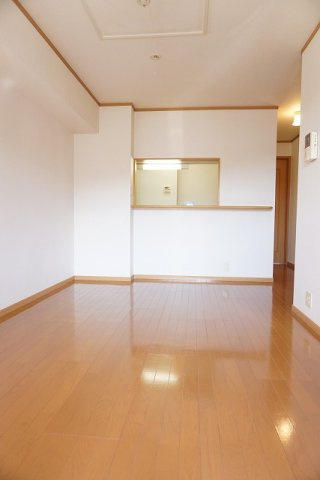 アンジェリカ　Ａのその他