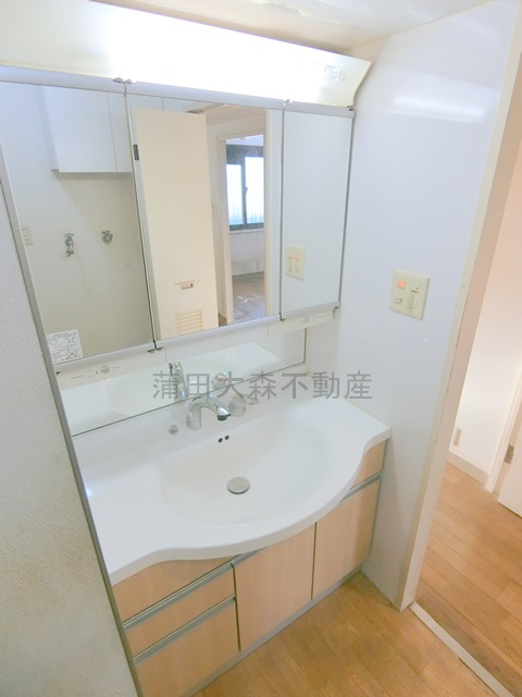 東急ドエルアルス久が原 B棟の洗面所